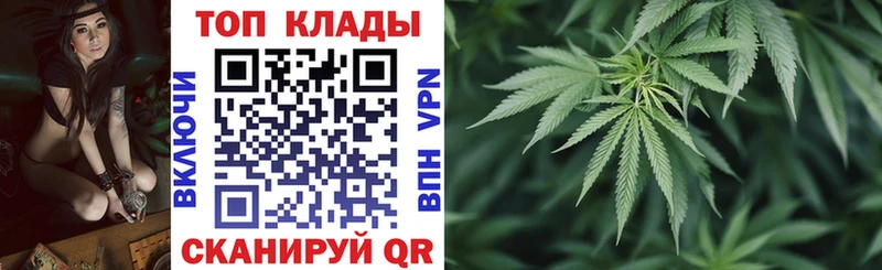 Каннабис Пионерский