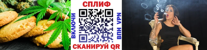 Cannafood конопля  наркотики  Пионерский 
