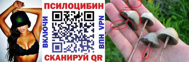 Галлюциногенные грибы MAGIC MUSHROOMS  купить   Пионерский 
